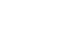 Power to Flex logo